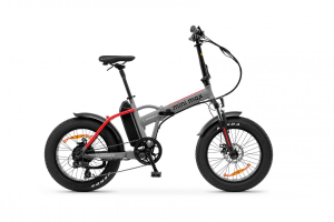 17446935791874-argentoemobilityminimax