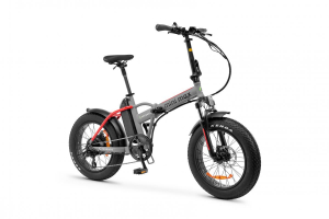 17446935812037-argentoemobilityminimax