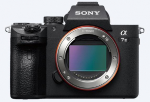 17446960274417-sony7iiicorpomilc242mpcmos6000x4000pixelnero