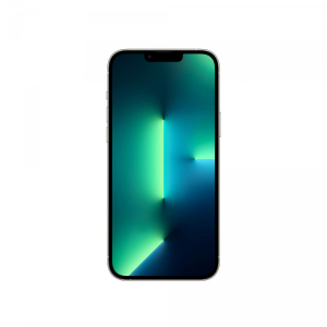 17446977846293-appleiphone13promax512gbargento