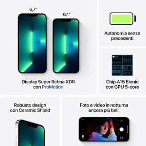 17446977959678-appleiphone13promax512gbargento
