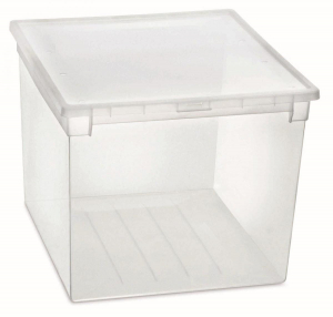 17447191150972-terrystoreagelightbox52xxl