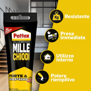 17447406243781-pattexmillechiodiforterapido250g