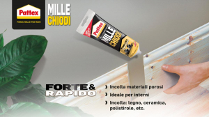 17447406252799-pattexmillechiodiforterapido250g