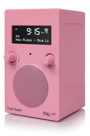 17447412279742-tivoliaudiopalbtportatileanalogicoedigitalerosa