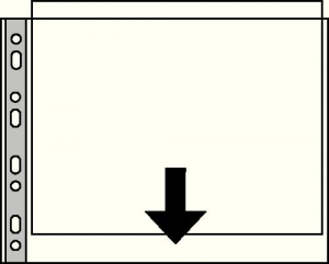 17447478334117-esselte55230fogliodiprotezione