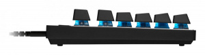 17447549248671-logitechgproxtklrapid