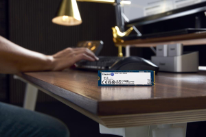 17447549771255-kingstontechnology1000gnv3m22280nvmessd