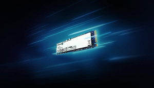 17447549781902-kingstontechnology1000gnv3m22280nvmessd