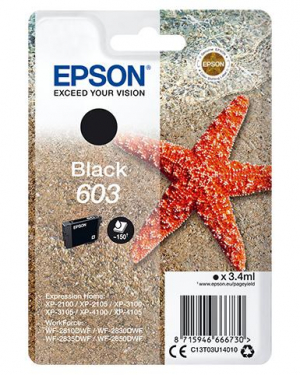 17448374334464-epsonsinglepackblack603ink