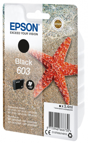 17448374342895-epsonsinglepackblack603ink