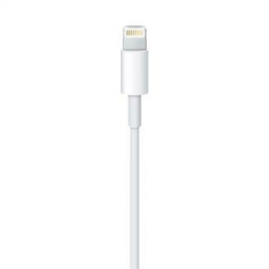 17448426759437-applecavodalightningausb05mt
