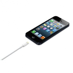17448426764853-applecavodalightningausb05mt