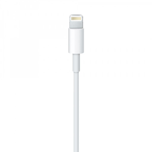 17448455955183-applecavodalightningausb1mt