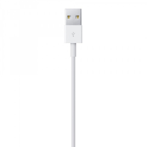 17448455960319-applecavodalightningausb1mt