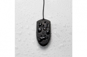 17448764878843-kensingtonmouseprofitlavabileconcavo