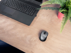 17448899319083-trustyvimouseufficioambidestrorfsenzafilibluetoothottico1600dpi