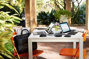 17449032759495-hpmousewirelessz5000