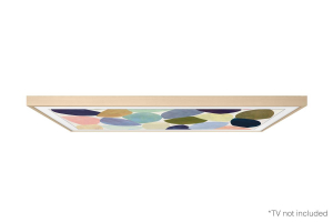 17449037573935-samsungvgscft65bexcaccessoriotv