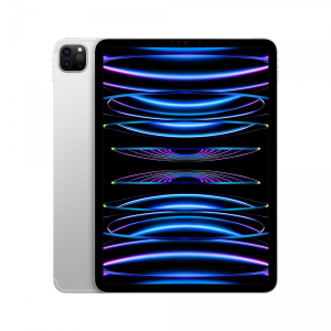 17449331446531-appleipad11prowificellular256gbargento