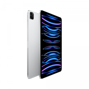 17449331463206-appleipad11prowificellular256gbargento