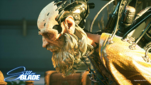 17449642989314-sonystellarbladestandardfranceseplaystation5