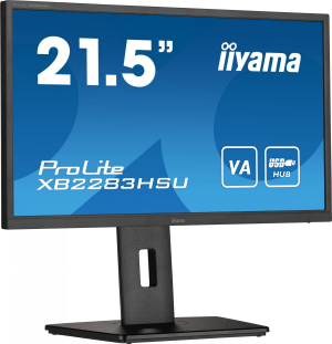 17449704945256-iiyamaprolitexb2283hsub1monitorpc546cm2151920x1080pixelfullhdlednero
