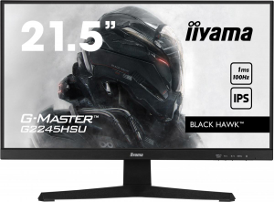 17449752523808-iiyamagmasterg2245hsub1monitorpc559cm221920x1080pixelfullhdlednero