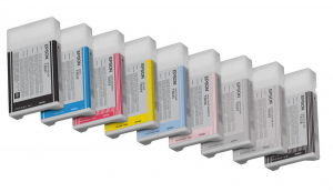 17449807815119-epsontanicanerolight