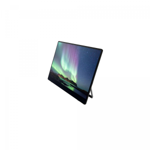 17449856935884-ricohmonitorportatile150