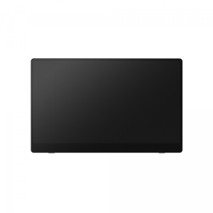 17449857227388-ricohmonitorportatile150bw