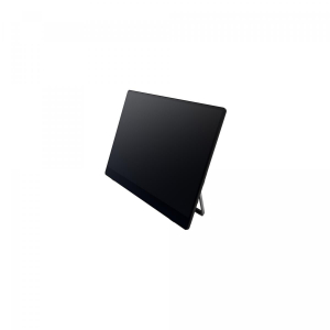 17449857275525-ricohmonitorportatile150bw