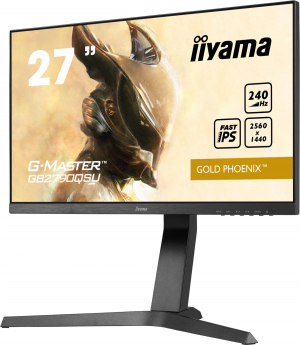 17449885979375-iiyamagmastergb2790qsub1monitorpc686cm272560x1440pixelwidequadhdlednero