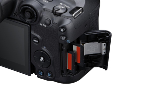 17449902658363-canoneosr7rfs18150mmisstmmilc325mpcmos6960x4640pixelnero
