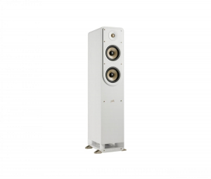 17449939429353-polkaudioes505vienerocablato150w