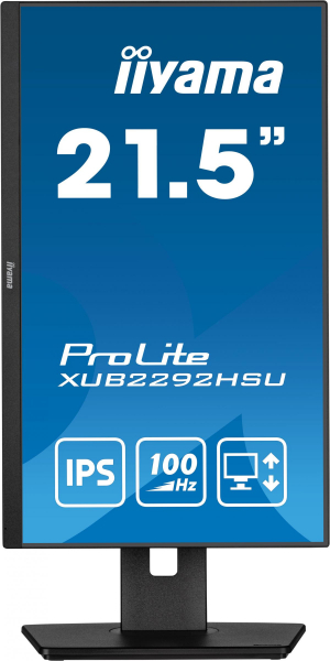 17450001273809-iiyamaprolitexub2292hsub6monitorpc559cm221920x1080pixelfullhdlednero