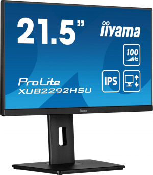 17450001292004-iiyamaprolitexub2292hsub6monitorpc559cm221920x1080pixelfullhdlednero