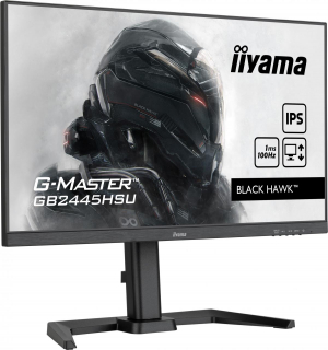 17450001513684-iiyamagmastergb2445hsub1monitorpc61cm241920x1080pixelfullhdlednero