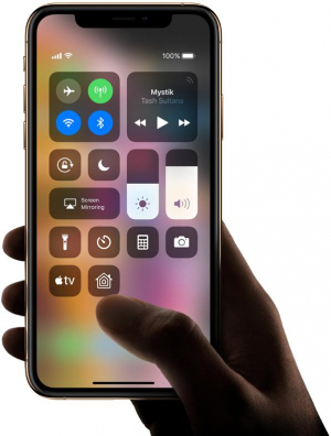 17450009546818-appleiphonexs147cm58doppiasimios124g64gbororinnovato