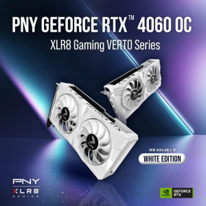 17450158077716-pnygeforcertx40608gbocxlr8vertodfnvidiagddr6