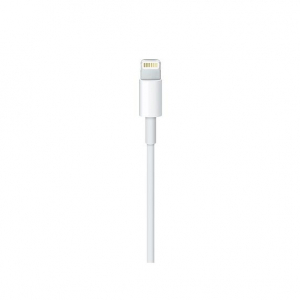 1745054080545-applecavodalightningausbc2m