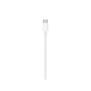 17450540809404-applecavodalightningausbc2m