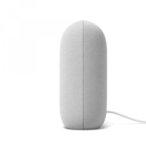 1745054423229-timgooglenestaudionestmini