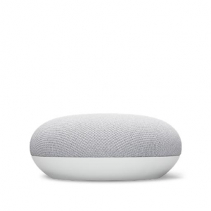 1745054423716-timgooglenestaudionestmini