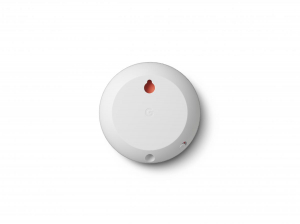 1745054435929-timgooglenestaudionestmini