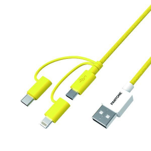 17450757438942-pantoneptusb003y1cavousb12musbausbcmicrousbalightninggiallo