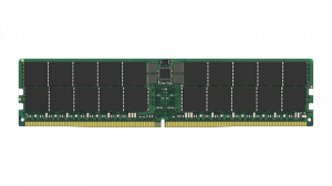 1745085779962-kingstontechnologykthpl556d464gmemoria64gb1x64gbddr5dataintegritycheckverificaintegritadati