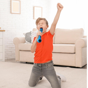 17450958316023-cellyfestivalblumicrofonoperkaraoke