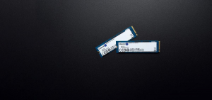 17451028213052-kingstontechnology4000gnv2m22280pcie40nvmessd