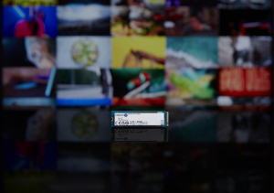 1745102830844-kingstontechnology4000gnv2m22280pcie40nvmessd